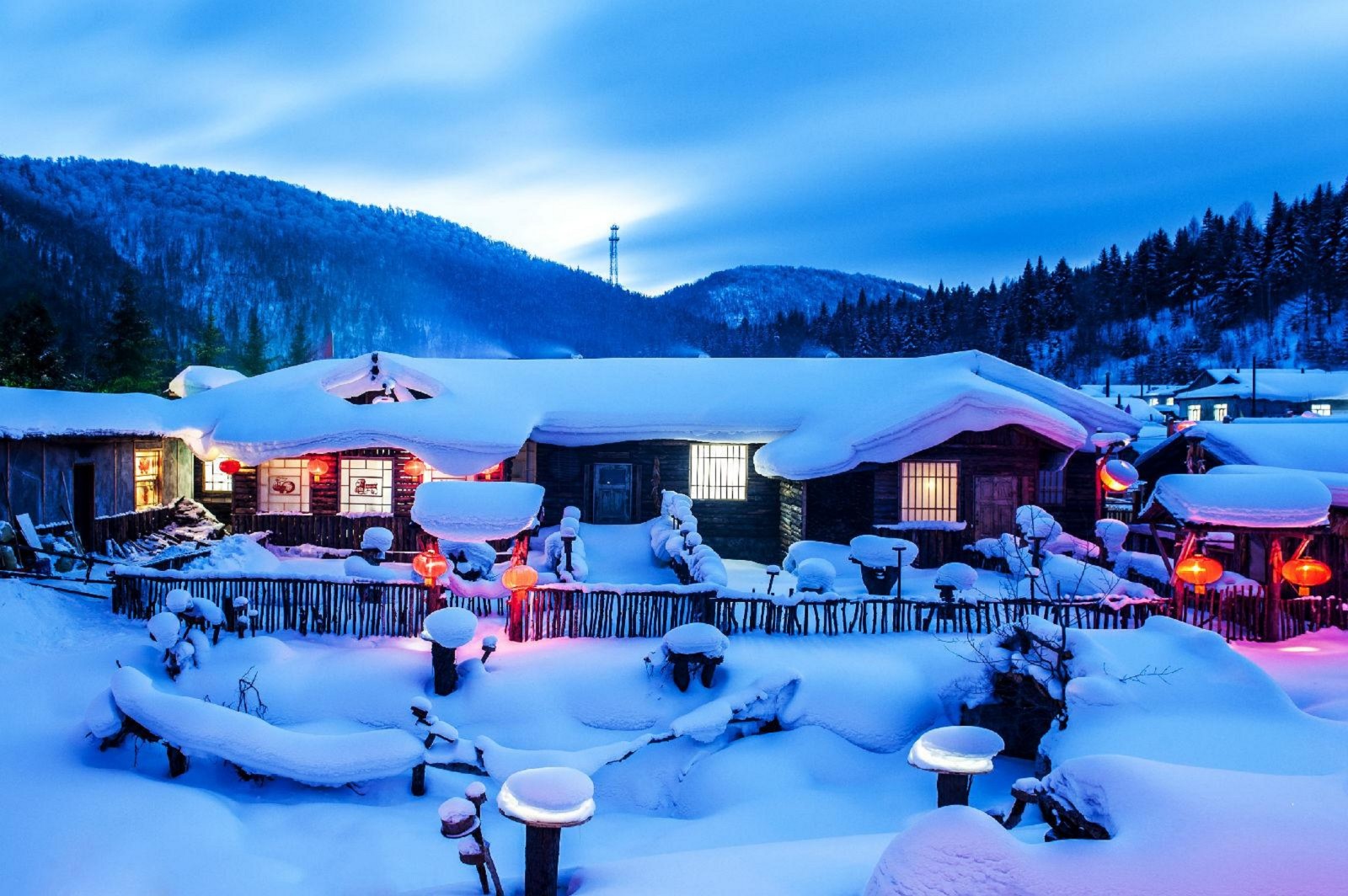 Dream House